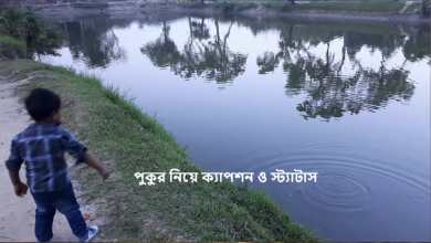 পুকুর নিয়ে ক্যাপশন ও স্ট্যাটাস