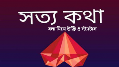 বলা নিয়ে উক্তি ও স্ট্যাটাস