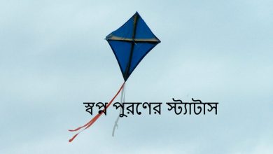 স্বপ্ন পুরণের স্ট্যাটাস