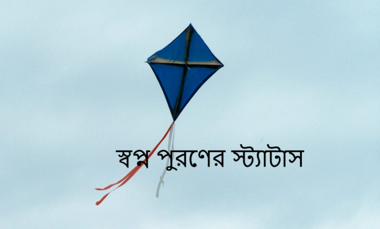 স্বপ্ন পুরণের স্ট্যাটাস