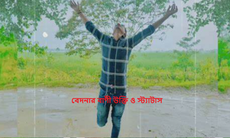 বেদনার বাণী উক্তি ও স্ট্যাটাস