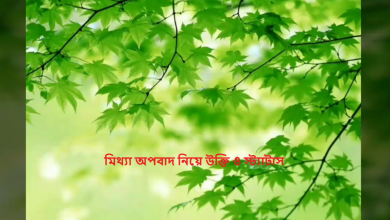 মিথ্যা অপবাদ নিয়ে উক্তি ও স্ট্যাটাস