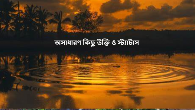 অসাধারণ কিছু উক্তি ও স্ট্যাটাস