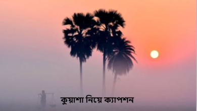 কুয়াশা নিয়ে ক্যাপশন