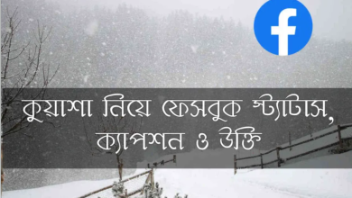 কুয়াশা নিয়ে ফেসবুক স্ট্যাটাস