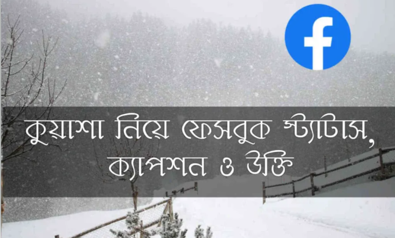 কুয়াশা নিয়ে ফেসবুক স্ট্যাটাস