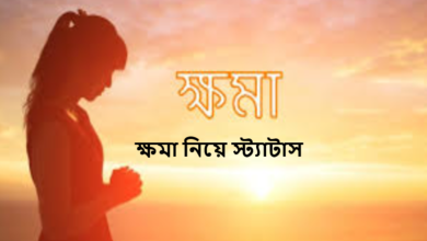 ক্ষমা নিয়ে স্ট্যাটাস, উক্তি, ছন্দ ও কবিতা