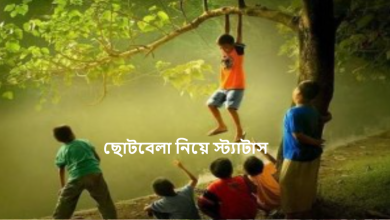 ছোটবেলা নিয়ে স্ট্যাটাস