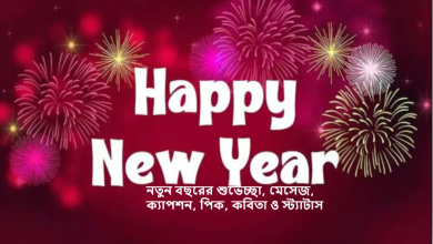 নতুন বছরের শুভেচ্ছা, মেসেজ, ক্যাপশন, পিক, কবিতা ও স্ট্যাটাস