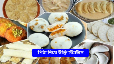 পিঠা নিয়ে উক্তি স্ট্যাটাস