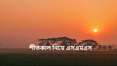 শীতকাল নিয়ে এসএমএস