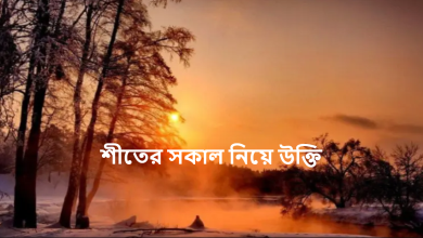 শীতের সকাল নিয়ে উক্তি