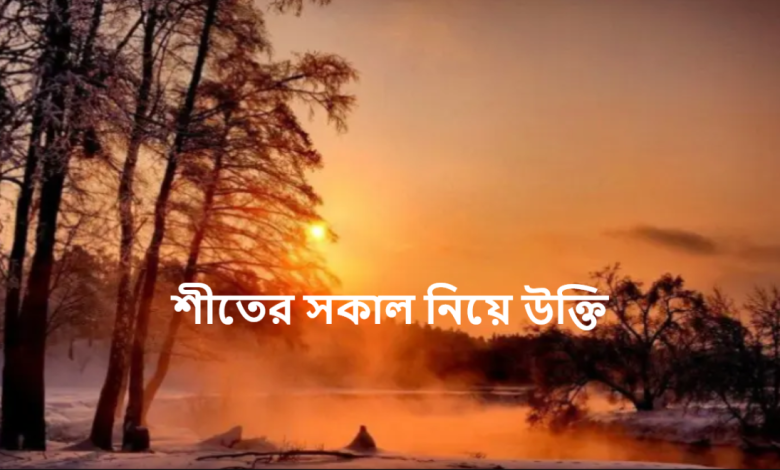 শীতের সকাল নিয়ে উক্তি