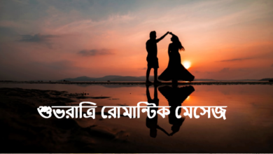 শুভরাত্রি রোমান্টিক ম্যাসেজ