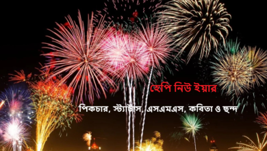 হ্যাপি নিউ ইয়ার স্ট্যাটাস 2023