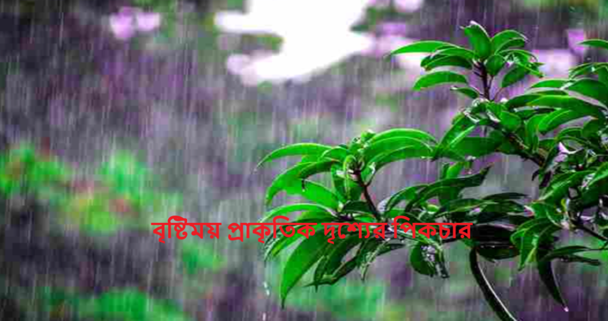 বৃষ্টিময় প্রাকৃতিক দৃশ্যের পিকচার