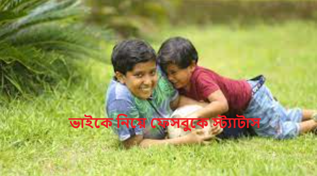 ভাইকে নিয়ে ফেসবুকে স্ট্যাটাস