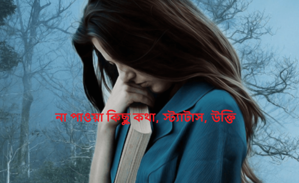 না পাওয়া কিছু কথা, স্ট্যাটাস, উক্তি